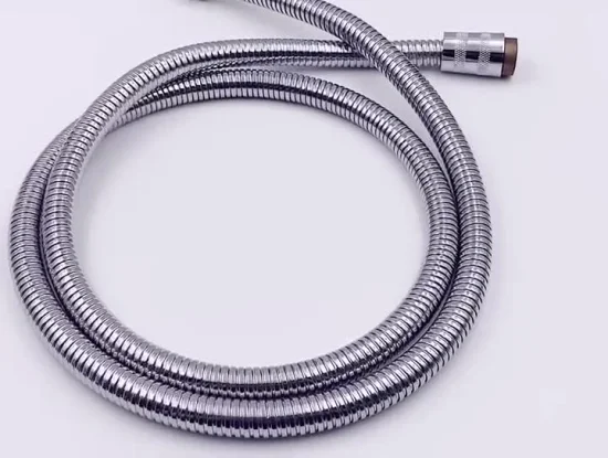 Double Lock Stainless Steel 304 Bathroom Flexible Hose Shower Hose